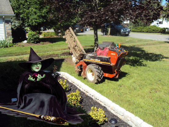 Witch in the Ditch