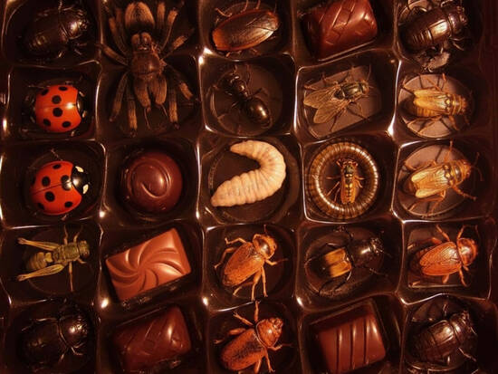 Specialty Chocolates
