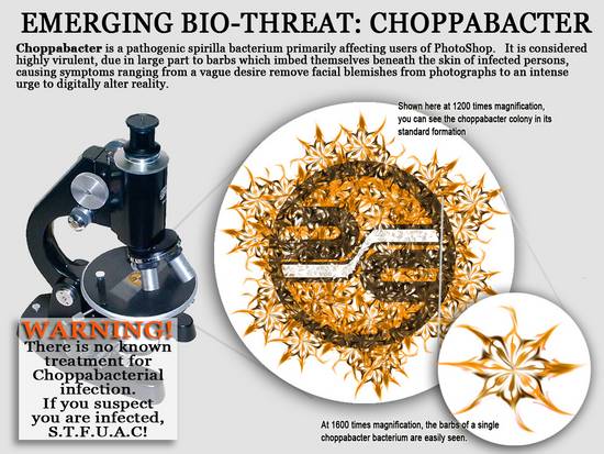 Choppbacter