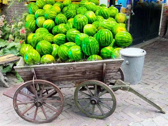 Melon Cart