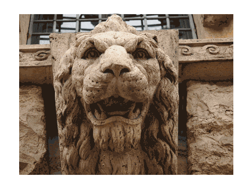 Petrified Lion (GIF)