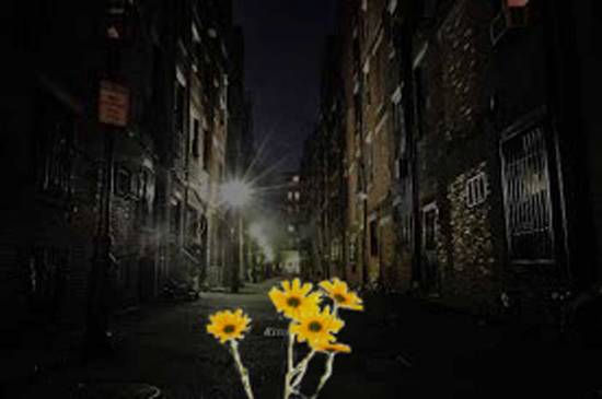 yellow in the alley