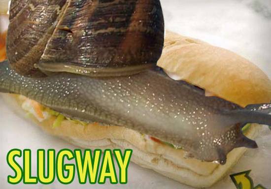 the slugway diet