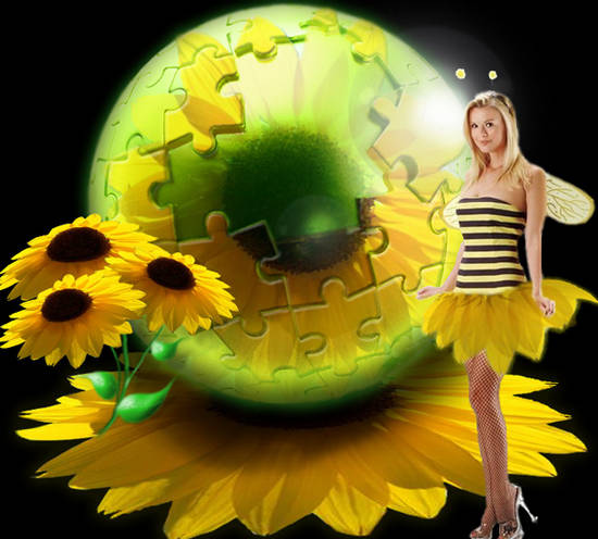 Sunflower Puzzle 