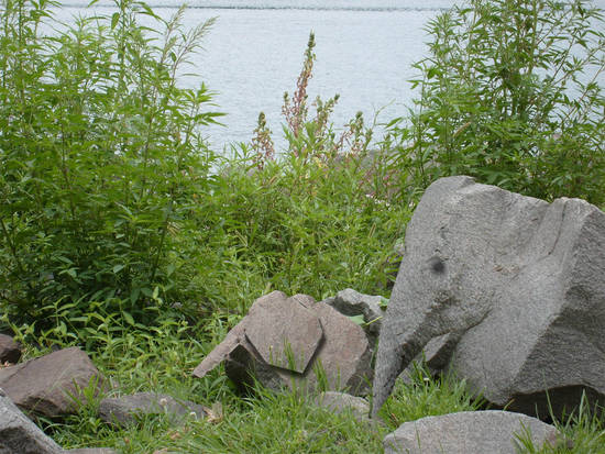 Near Elephant Rock