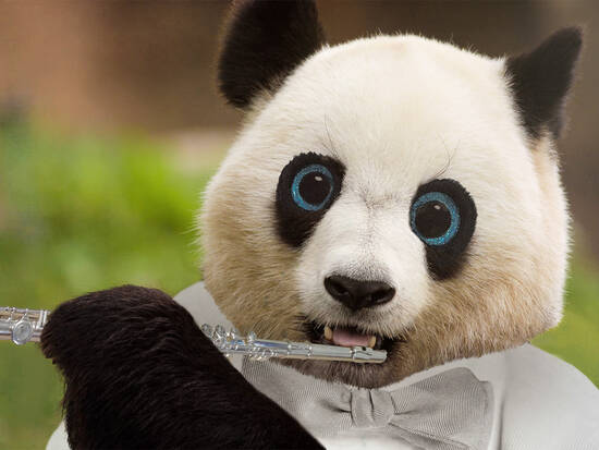 Ian bao