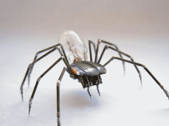 Light Spider