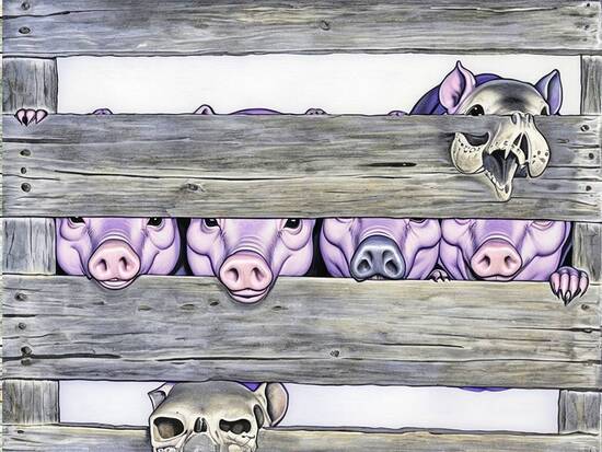 Pigs