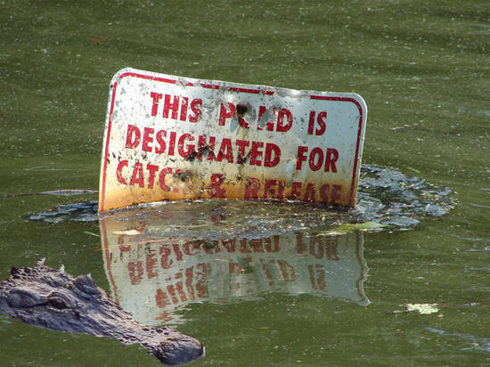 Gators can't read
