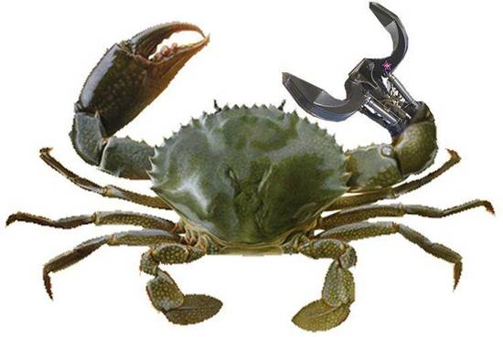 crab amputee