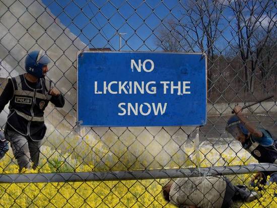No Licking the Snow