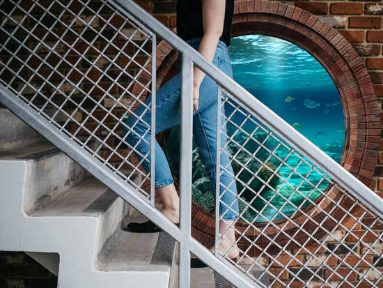 Going up from underwater