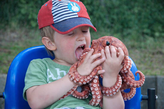 a Boy and his Octopus
