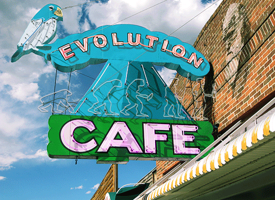 Evolution Cafe