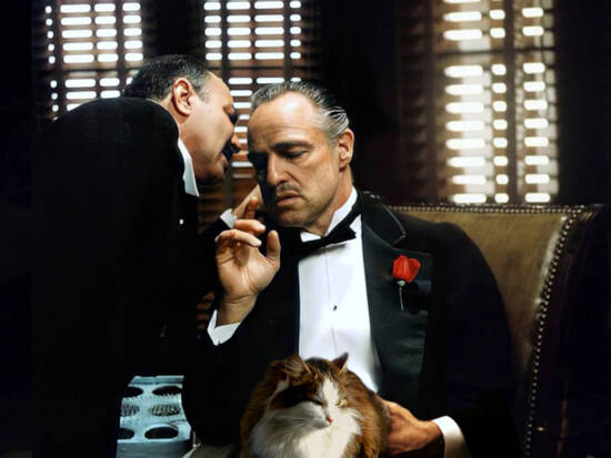 The Godfather