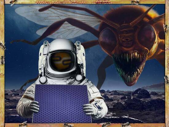 Cosmic Beekeeper