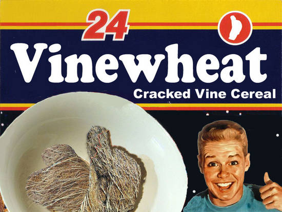 Vinewheat