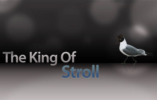 The King of Stroll