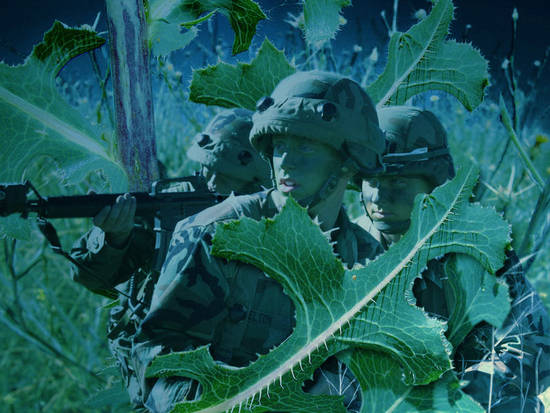 Jungle Soldiers