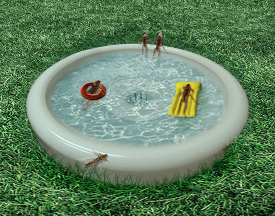 Flea Pool