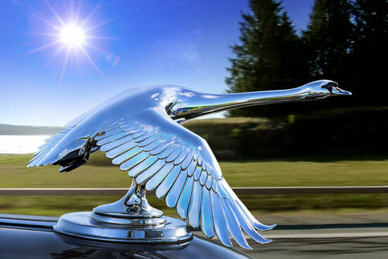Hood Ornament