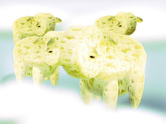Sponge Mary's Sheep
