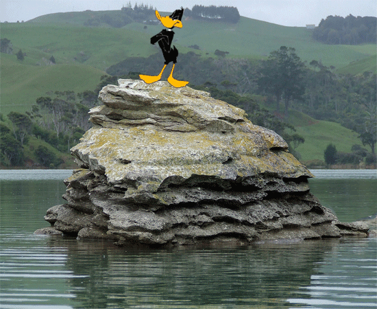Drowning Daffy Duck