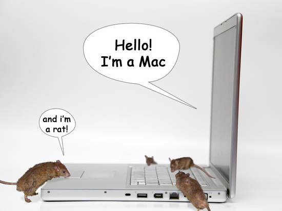 Mac'n'rats