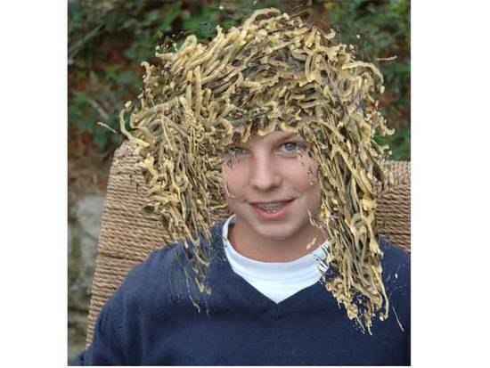 dreads of sea noodles