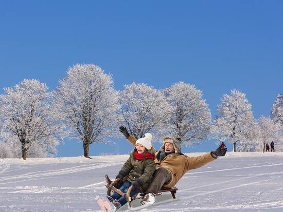 Sledging