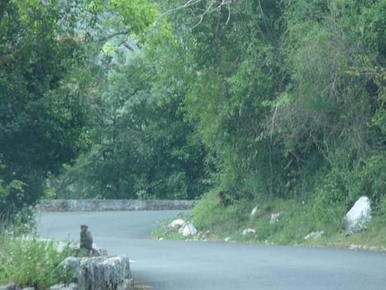 Hairpin Bend Road
