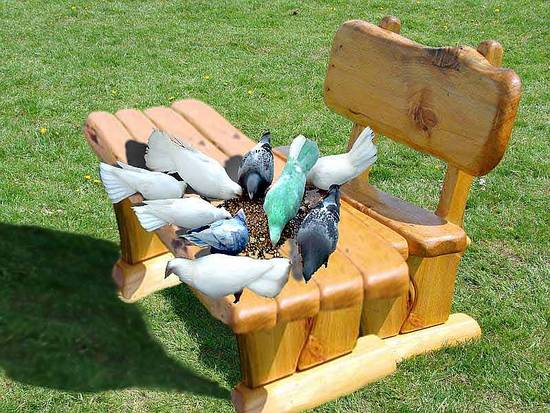 picnic table for birds