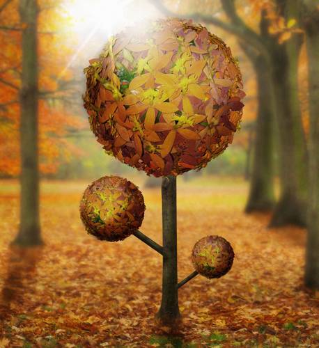 Fall Ball Tree...