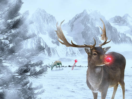 Finding Rudolph