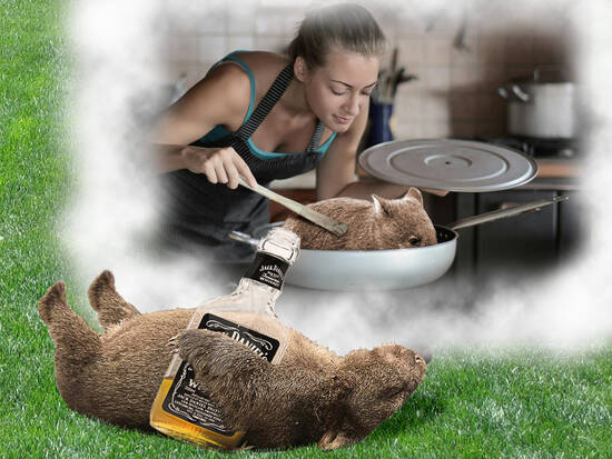Wombat Nightmare!