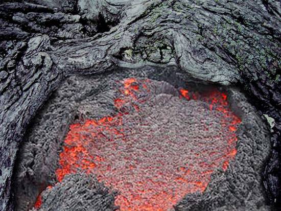 Volcanic Tree