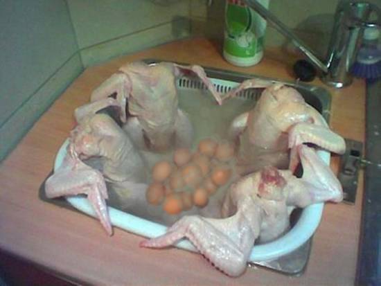 A Disturbing Chicken Pic