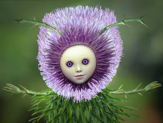 Thistle sprite