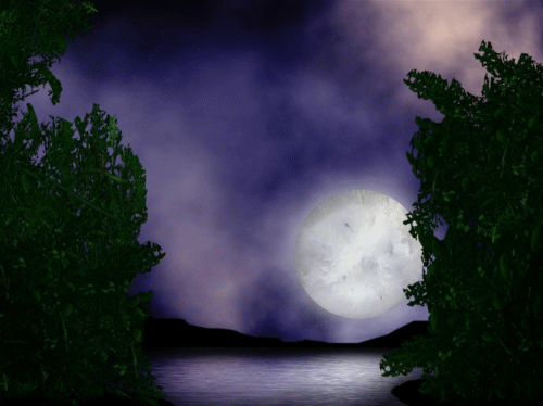 Moonlit Lake GIF