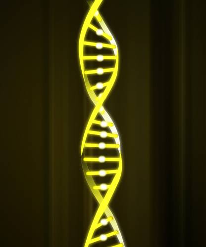CYBORG DNA