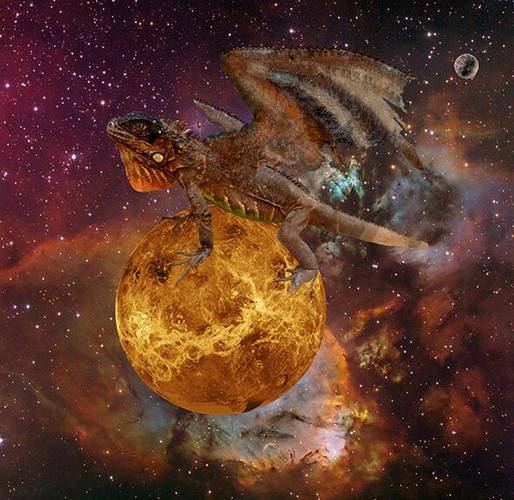 a dragon in the space
