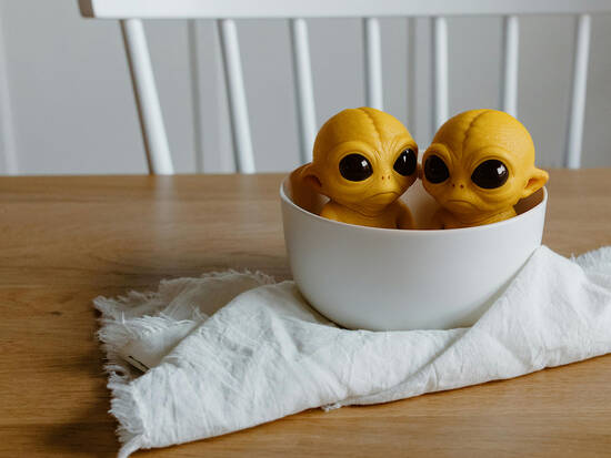 Alien Twins