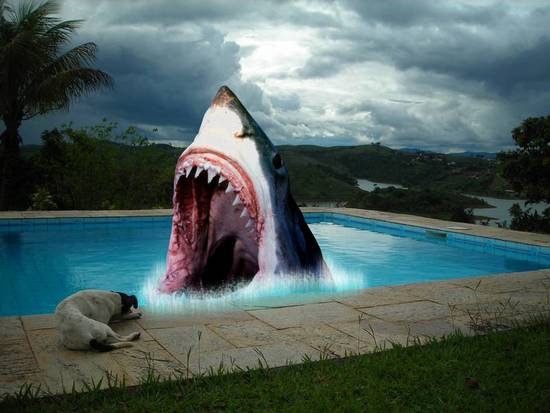 Jaws 5: Poolside