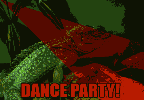 Lizard DANCE PARTY!
