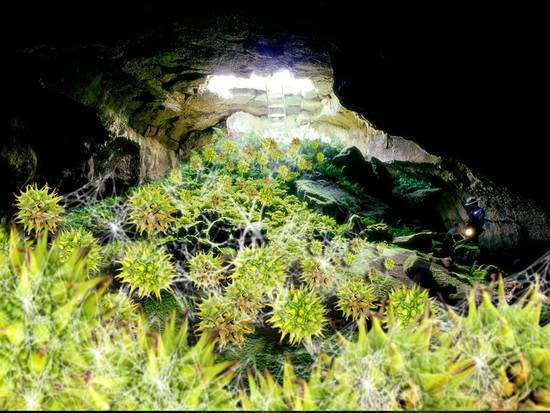 alien cave