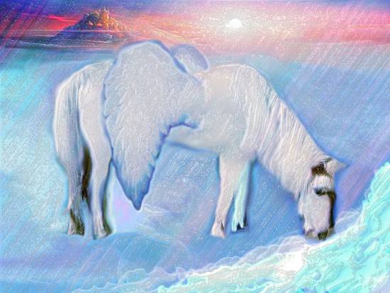 Old Pony Gone To Heaven