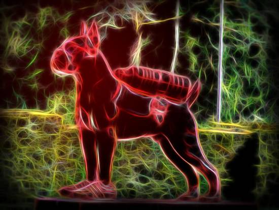 RED Glowing Dog