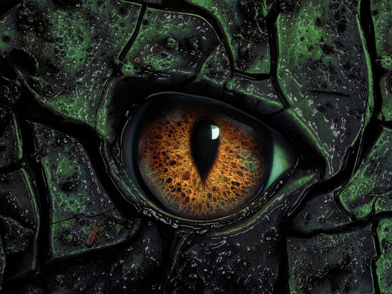 Eye of the Dragon