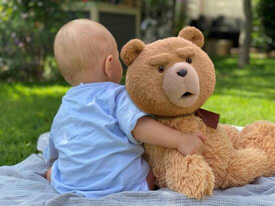 Ted