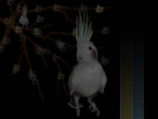 Chinese Cockatiel, Paint